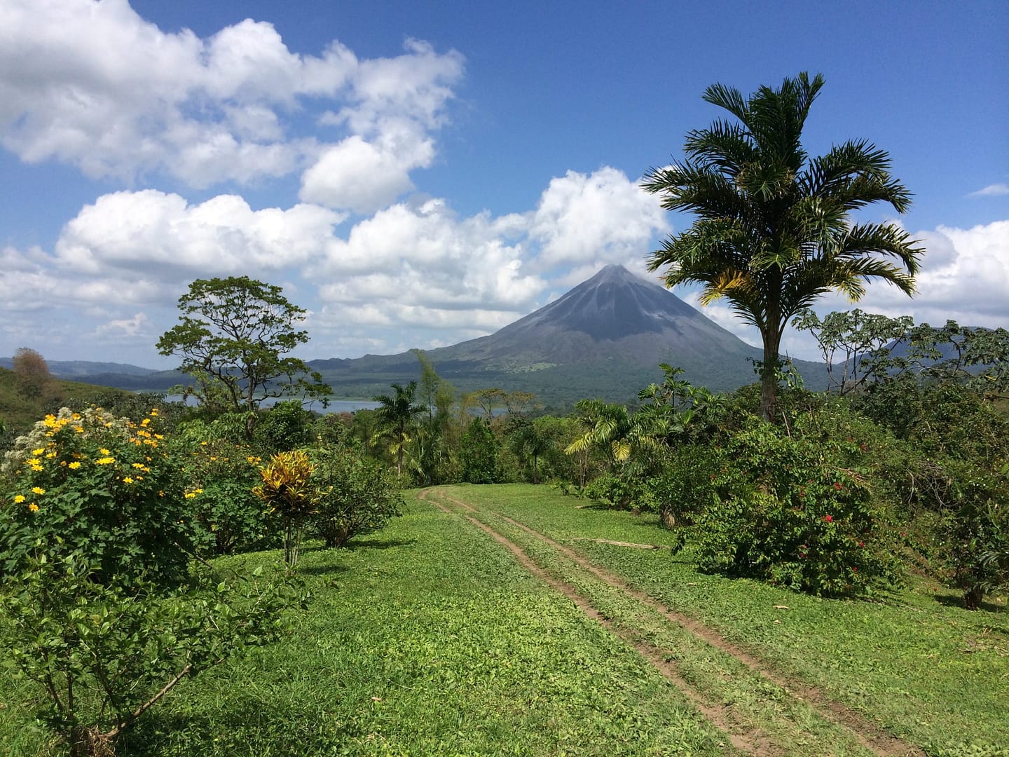 Arenal Volcano-Latin Excursions