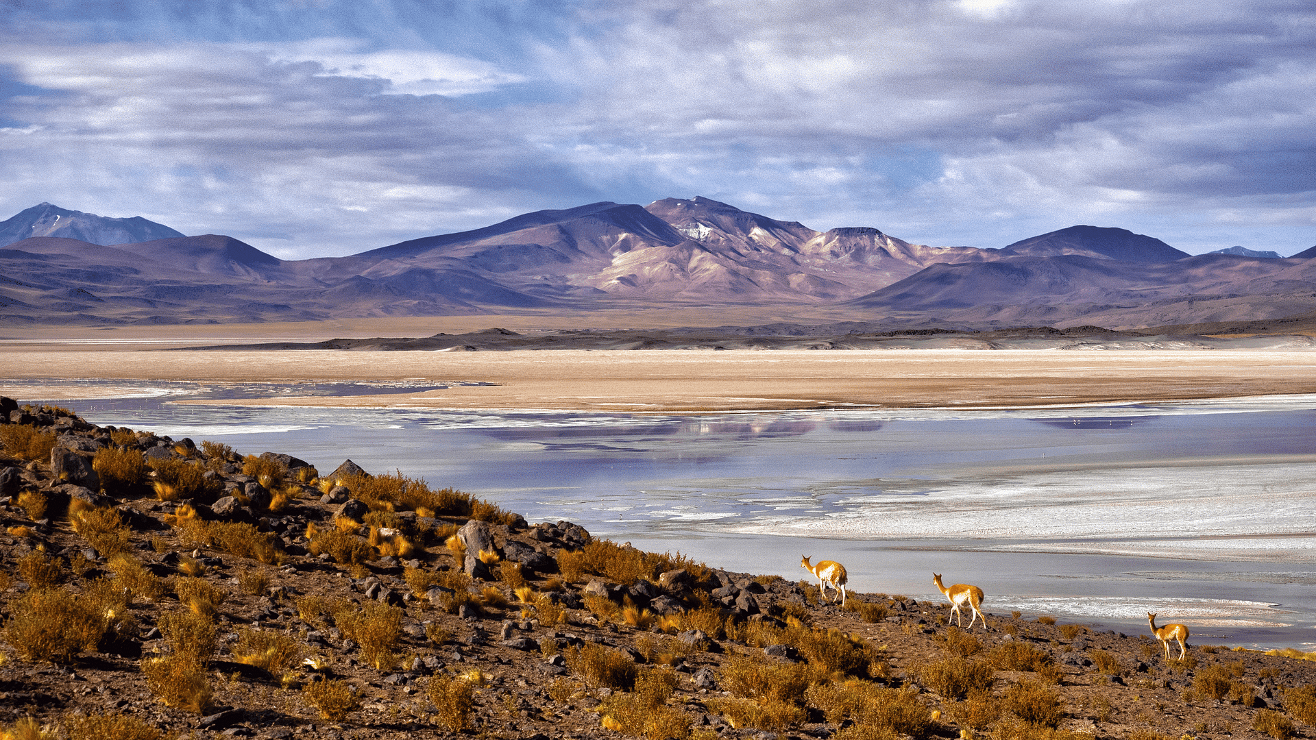 Atacama Desert-Chile-Latin Excursions