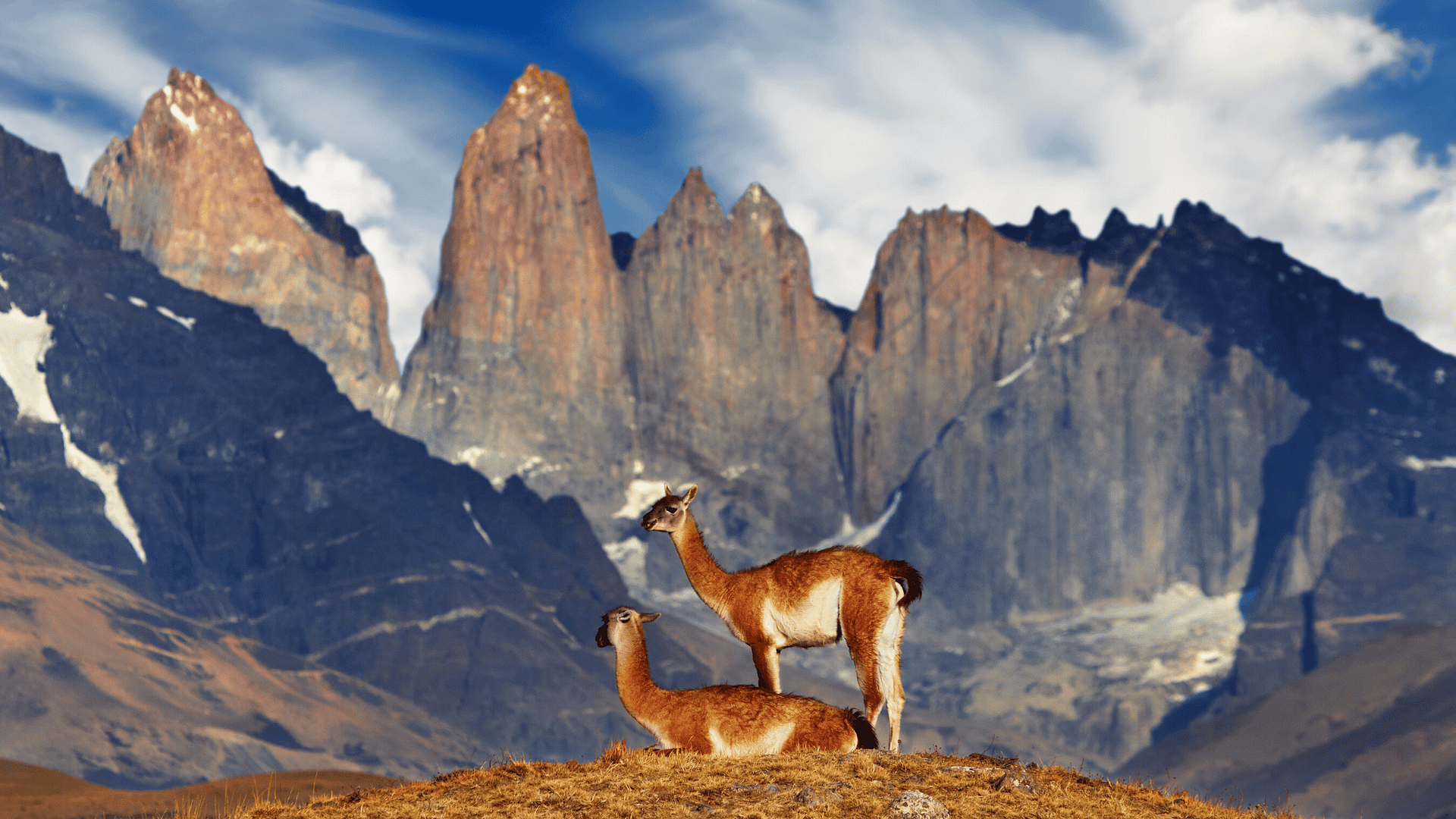 Torres del Paine-Chile-Latin Excursions