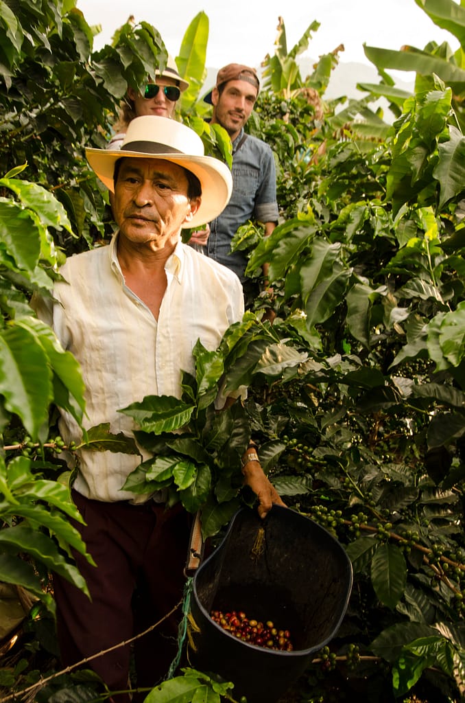 Coffee Grower in Colombia - Latin Excursions
