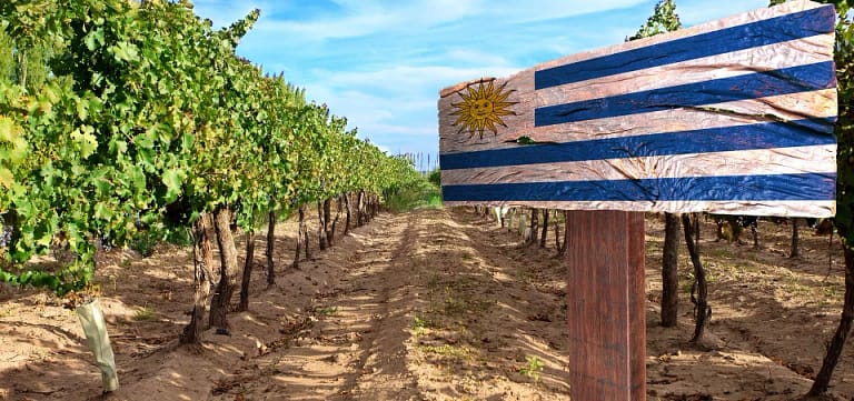 Uruguay-Wines-Latin-Excursions