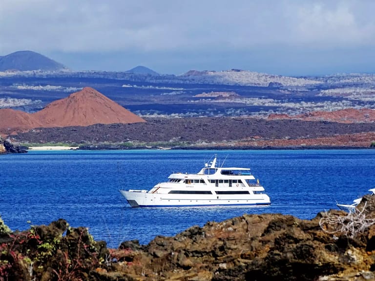 Seastar Journey Galapagos Latin Excursions